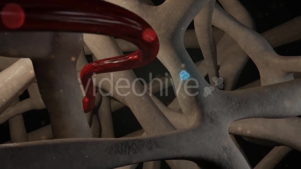 Osteoclast Activity Videohive 21197343 Motion Graphics Image 1
