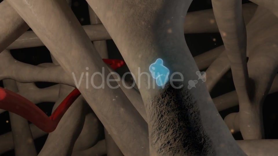 Osteoclast Activity Videohive 21197343 Motion Graphics Image 5