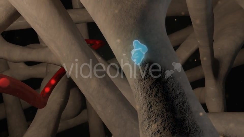 Osteoclast Activity Videohive 21197343 Motion Graphics Image 7