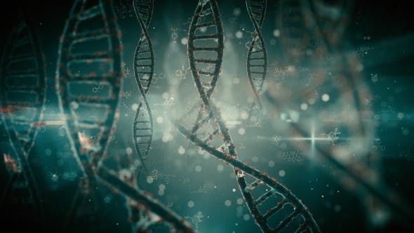 Pack Backgrounds Futuristic DNA Strands Looped HD - Videohive 21035223 Download