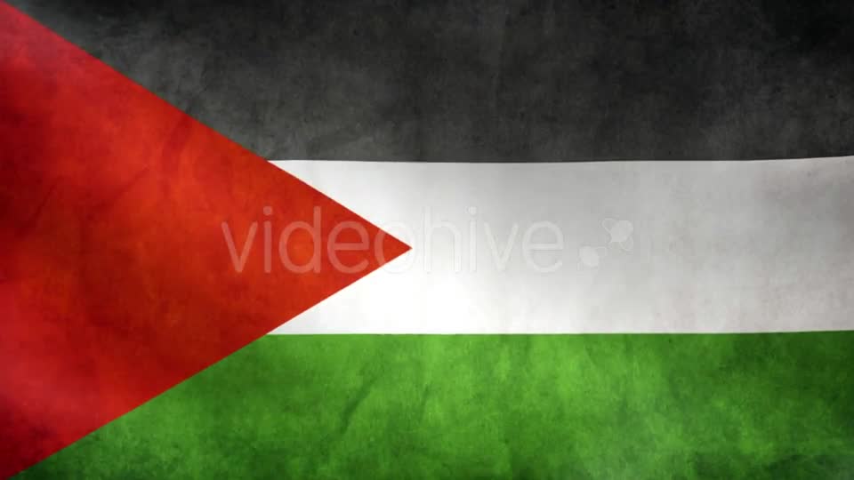 Palestine Flag Videohive 9984251 Motion Graphics Image 1