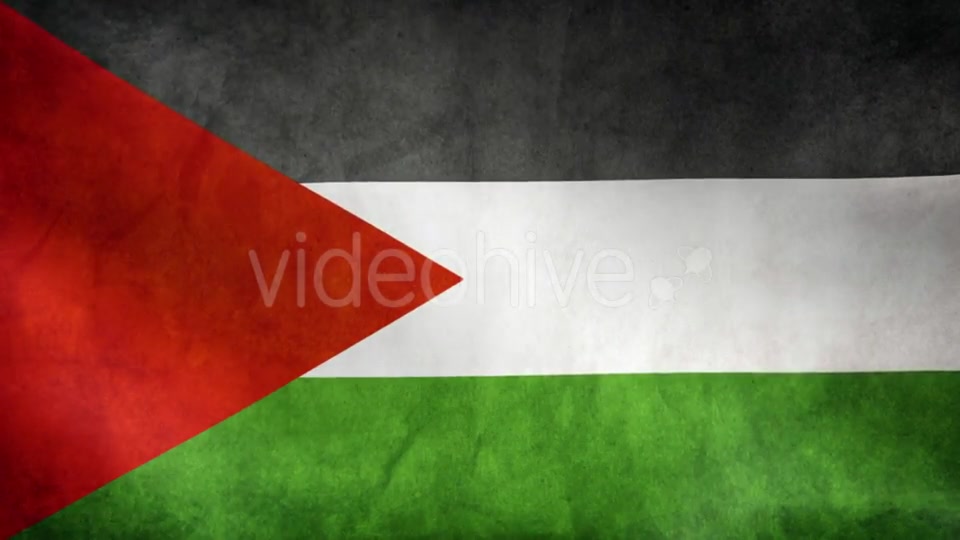 Palestine Flag Videohive 9984251 Motion Graphics Image 10