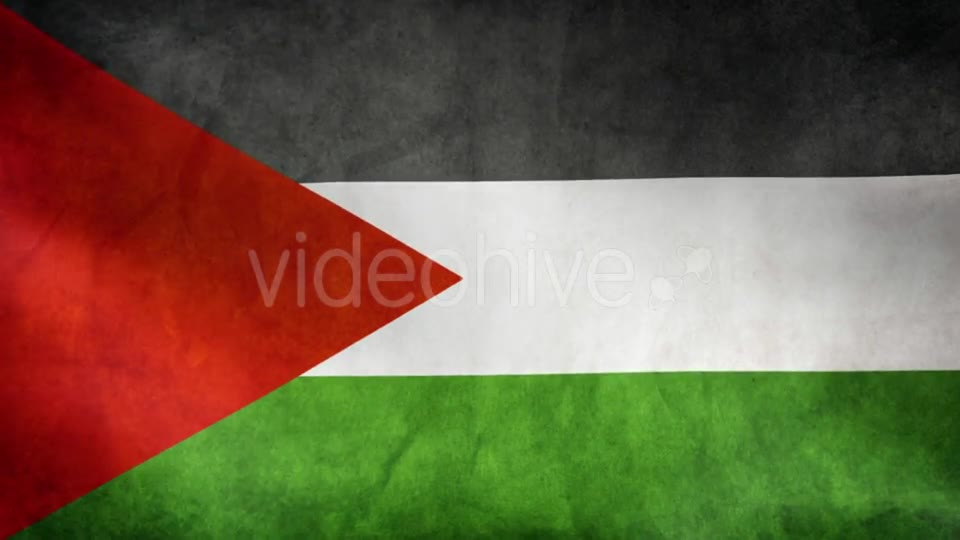 Palestine Flag Videohive 9984251 Motion Graphics Image 2