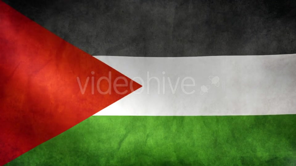 Palestine Flag Videohive 9984251 Motion Graphics Image 3