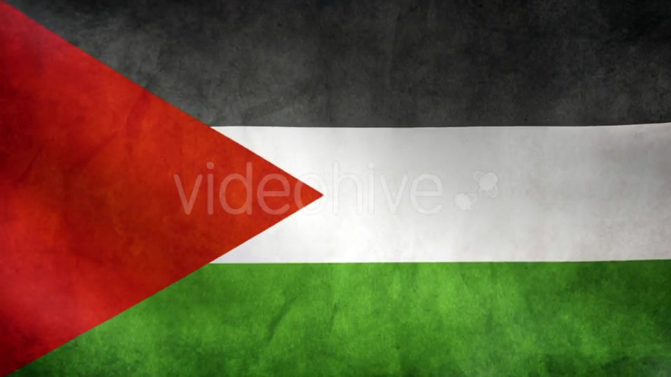 Palestine Flag Videohive 9984251 Motion Graphics Image 4