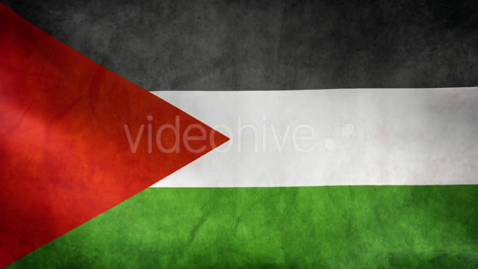 Palestine Flag Videohive 9984251 Motion Graphics Image 5