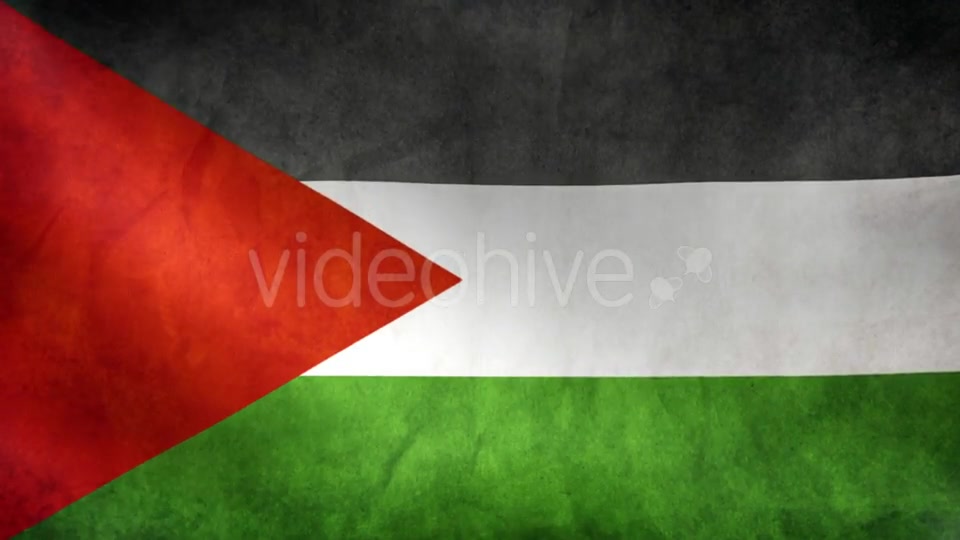 Palestine Flag Videohive 9984251 Motion Graphics Image 6