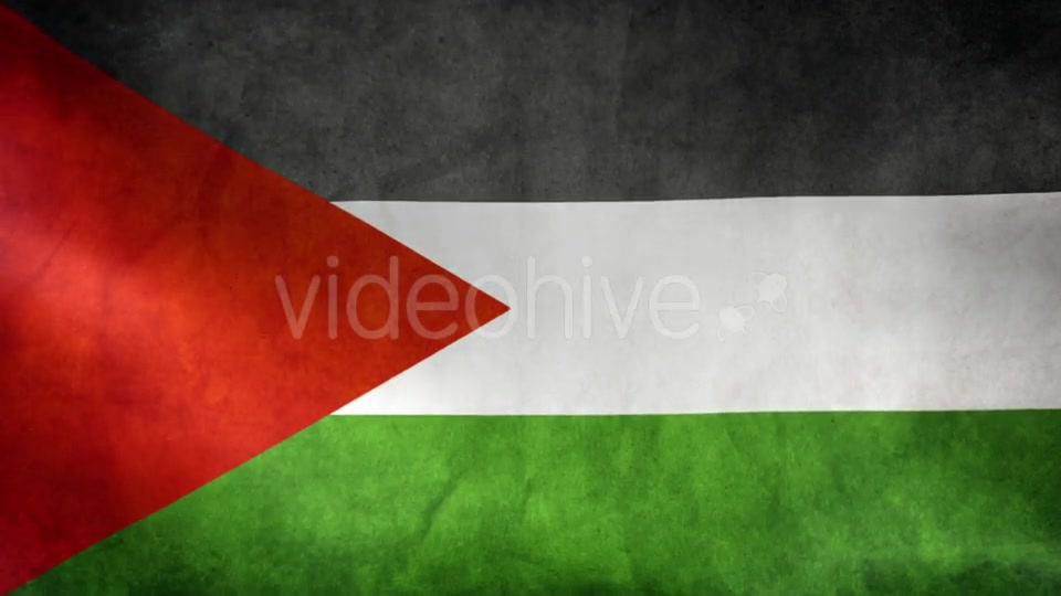 Palestine Flag Videohive 9984251 Motion Graphics Image 8