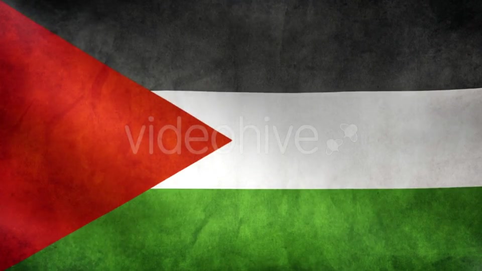 Palestine Flag Videohive 9984251 Motion Graphics Image 9