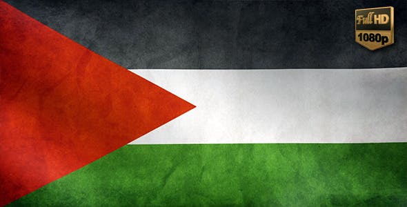 Palestine Flag - Videohive 9984251 Download