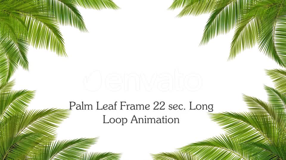 Palm Leaf Frame Loop Videohive 24366450 Motion Graphics Image 1
