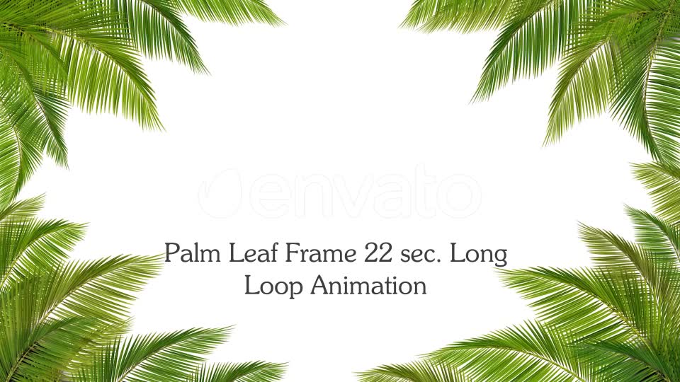 Palm Leaf Frame Loop Videohive 24366450 Motion Graphics Image 2