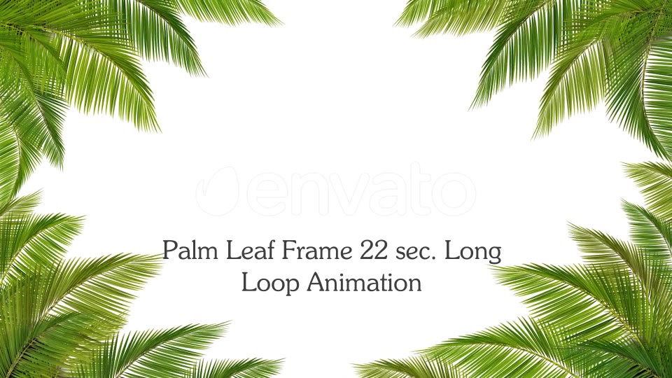 Palm Leaf Frame Loop Videohive 24366450 Motion Graphics Image 3