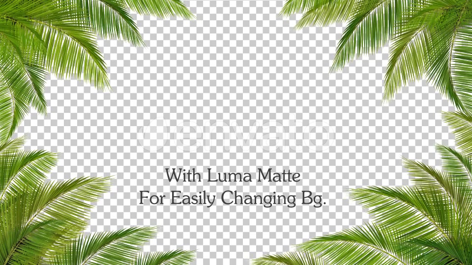 Palm Leaf Frame Loop Videohive 24366450 Motion Graphics Image 4
