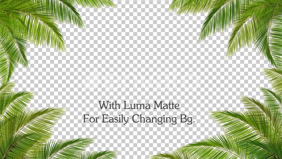 Palm Leaf Frame Loop Videohive 24366450 Motion Graphics Image 5