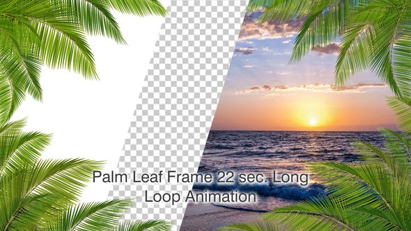 Palm Leaf Frame Loop - 24366450 Download Videohive