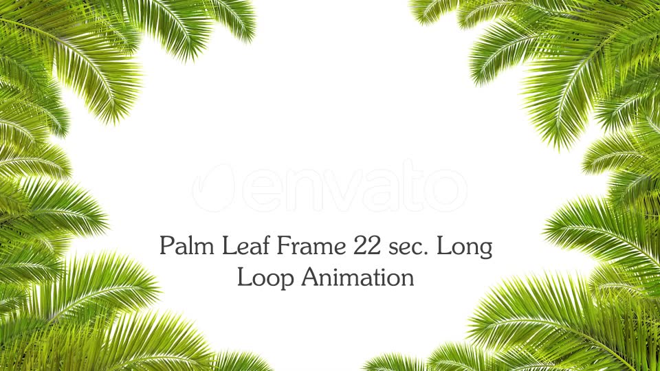 Palm Leaf Frame Loop 4K Videohive 24183263 Motion Graphics Image 2
