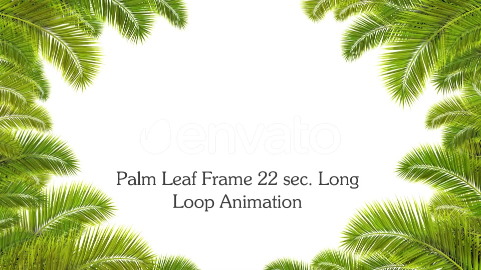 Palm Leaf Frame Loop 4K Videohive 24183263 Motion Graphics Image 3