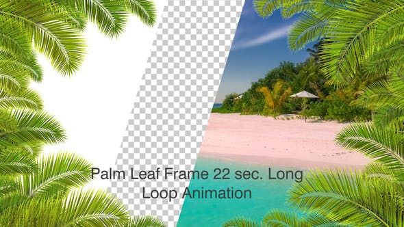 Palm Leaf Frame Loop 4K - 24183263 Videohive Download