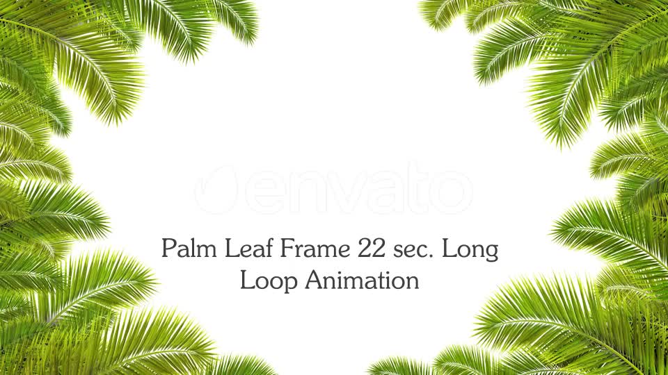 Palm Leaf Frame Loop Videohive 23706170 Motion Graphics Image 1
