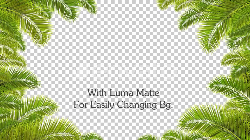 Palm Leaf Frame Loop Videohive 23706170 Motion Graphics Image 4