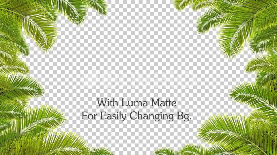 Palm Leaf Frame Loop Videohive 23706170 Motion Graphics Image 5