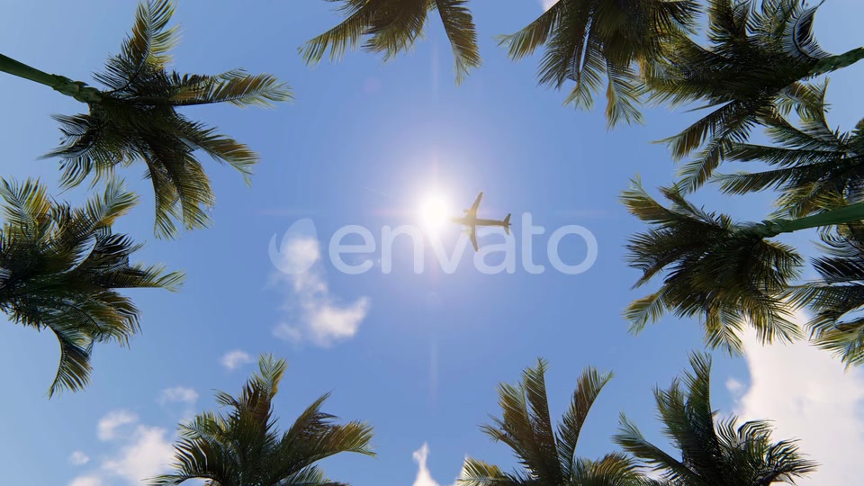 Palm Trees and Airplane Videohive 22569471 Motion Graphics Image 4