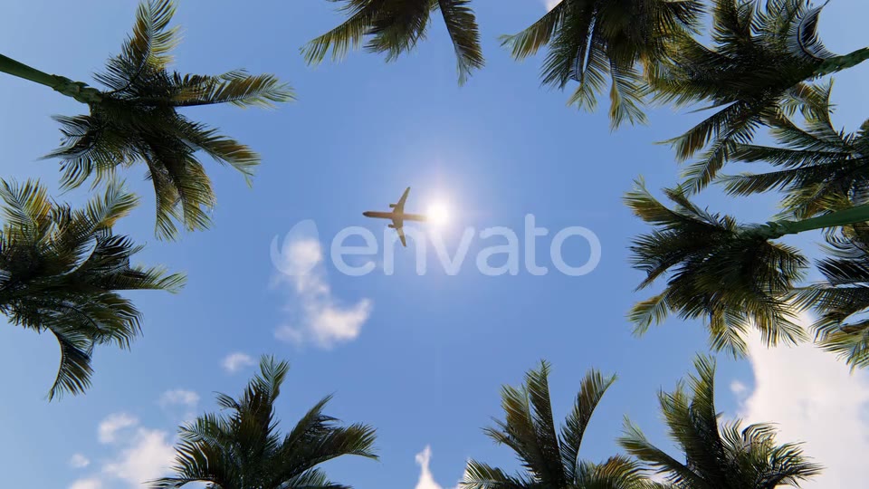 Palm Trees and Airplane Videohive 22569471 Motion Graphics Image 5