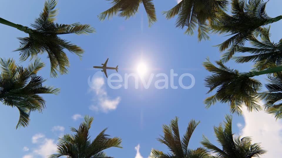 Palm Trees and Airplane Videohive 22569471 Motion Graphics Image 6