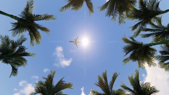 Palm Trees and Airplane - Videohive 22569471 Download