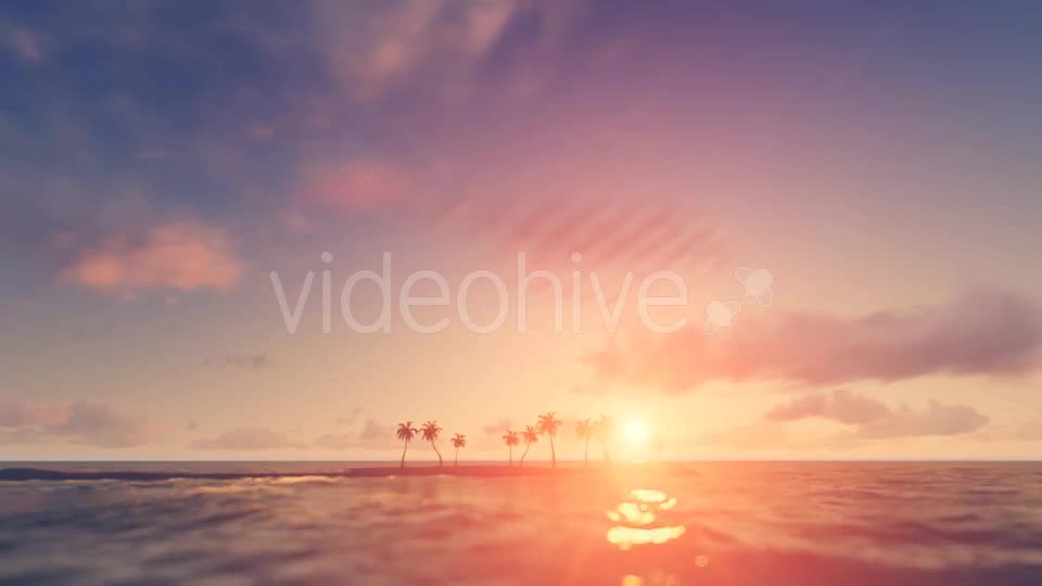 Palm Trees Sunset Background Videohive 16247714 Motion Graphics Image 1