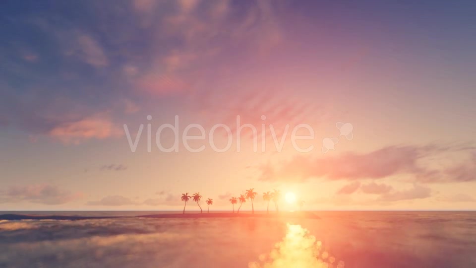 Palm Trees Sunset Background Videohive 16247714 Motion Graphics Image 10