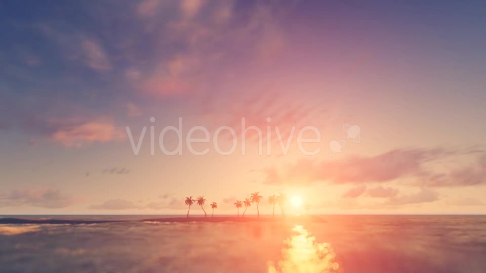 Palm Trees Sunset Background Videohive 16247714 Motion Graphics Image 11