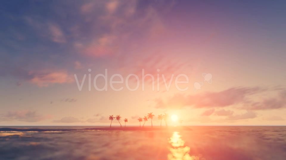 Palm Trees Sunset Background Videohive 16247714 Motion Graphics Image 12