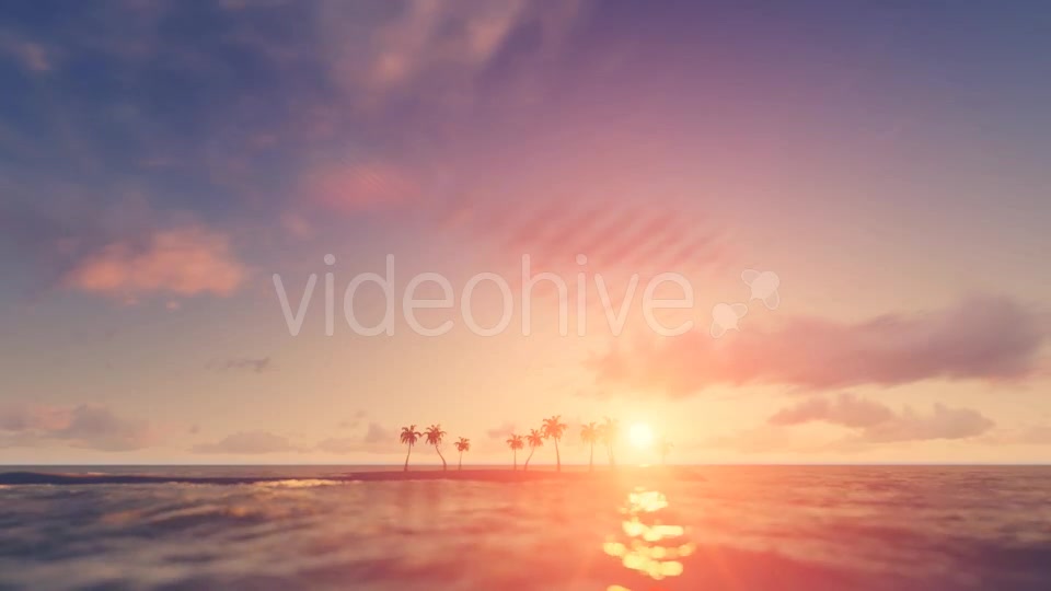 Palm Trees Sunset Background Videohive 16247714 Motion Graphics Image 2