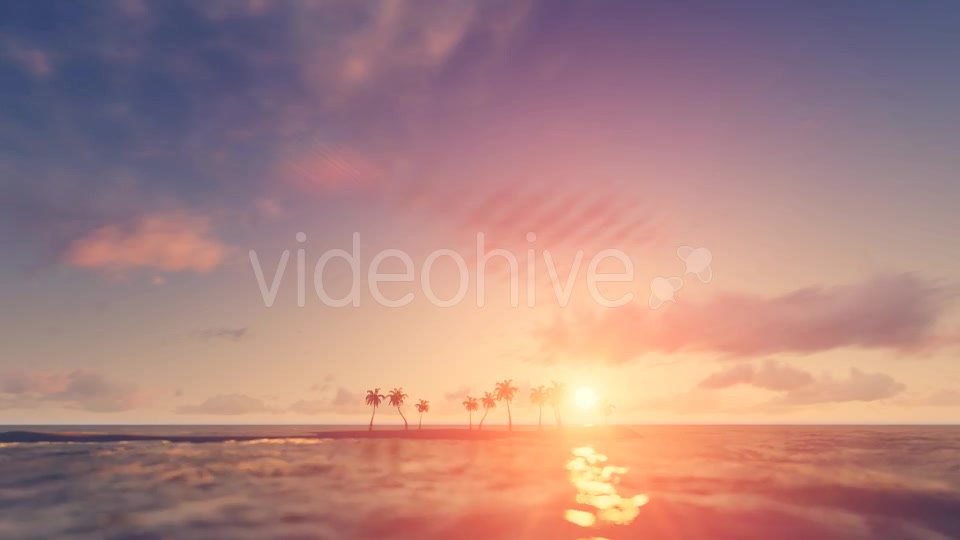 Palm Trees Sunset Background Videohive 16247714 Motion Graphics Image 3