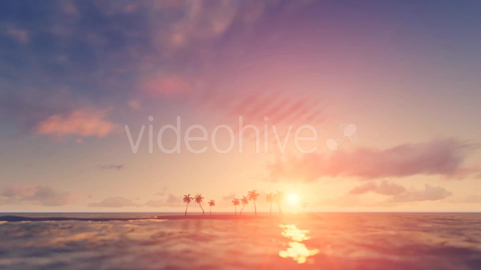 Palm Trees Sunset Background Videohive 16247714 Motion Graphics Image 4