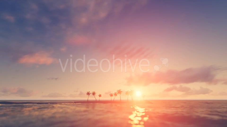 Palm Trees Sunset Background Videohive 16247714 Motion Graphics Image 5