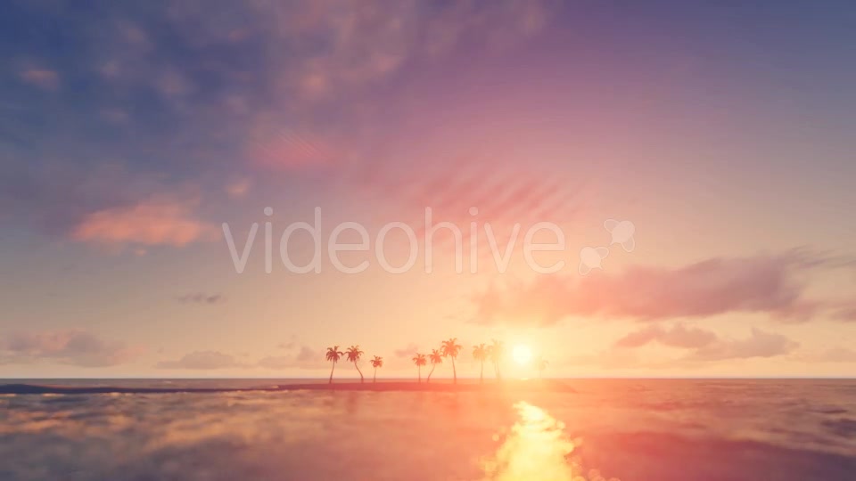 Palm Trees Sunset Background Videohive 16247714 Motion Graphics Image 6