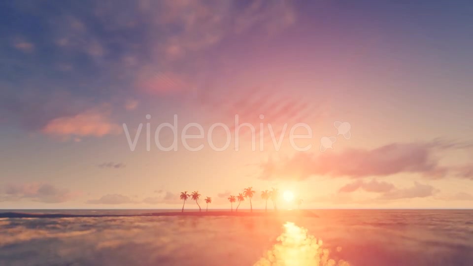 Palm Trees Sunset Background Videohive 16247714 Motion Graphics Image 7