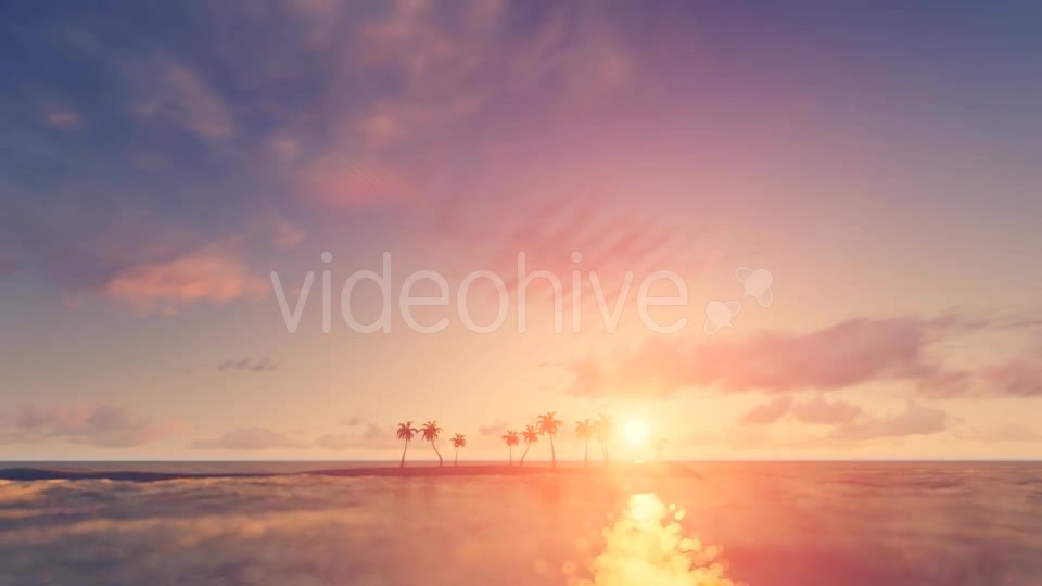 Palm Trees Sunset Background Videohive 16247714 Motion Graphics Image 9