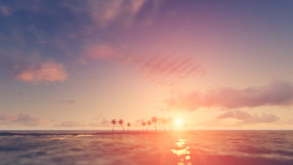 Palm Trees Sunset Background - 16247714 Videohive Download