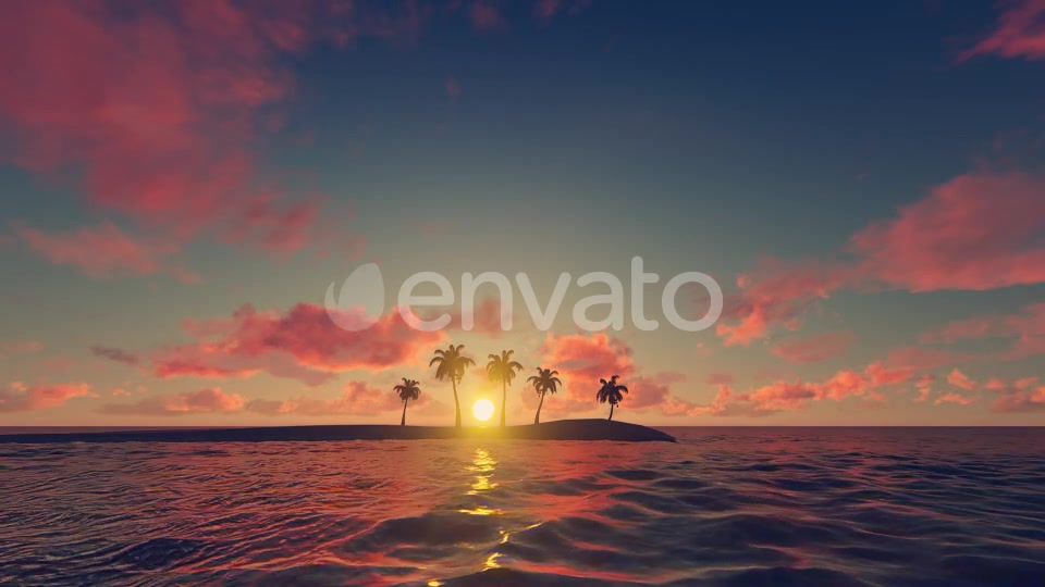 Palm Trees Sunset Background Videohive 21639127 Motion Graphics Image 6