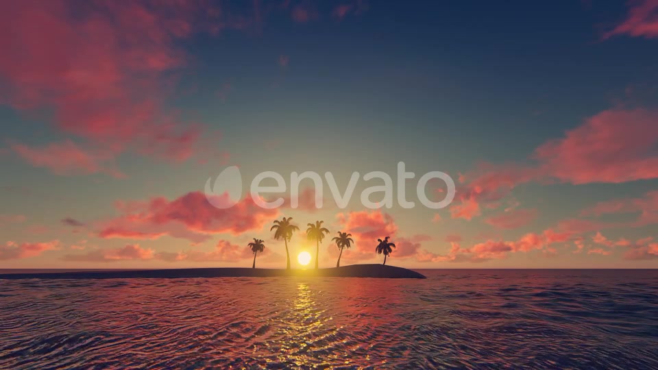 Palm Trees Sunset Background Videohive 21639127 Motion Graphics Image 7