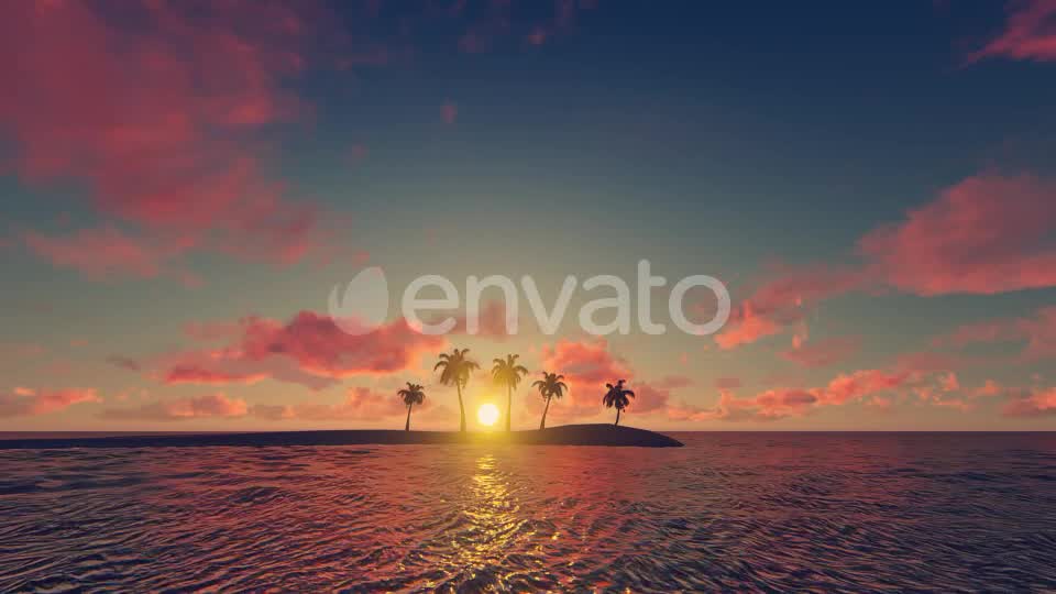 Palm Trees Sunset Background Videohive 21639127 Motion Graphics Image 9