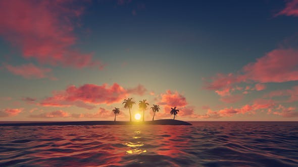 Palm Trees Sunset Background - 21639127 Download Videohive