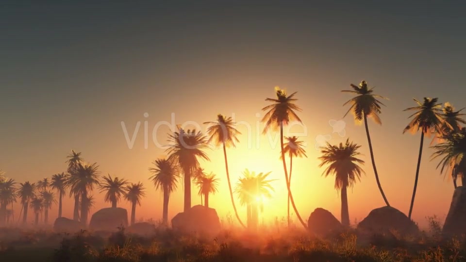 Palms in Desert at Sunset Videohive 19072652 Motion Graphics Image 3
