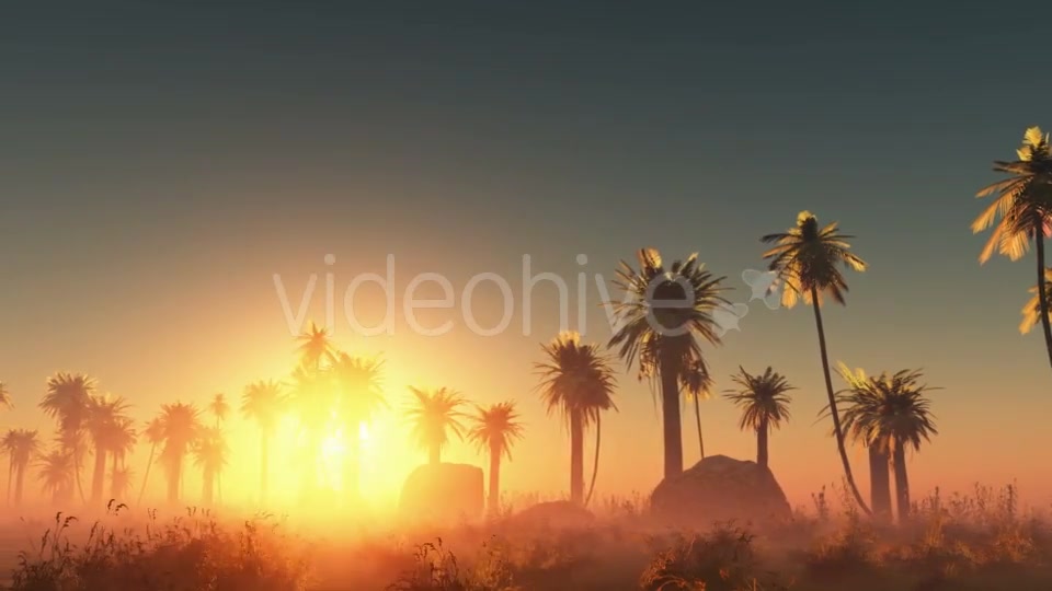 Palms in Desert at Sunset Videohive 19072652 Motion Graphics Image 7