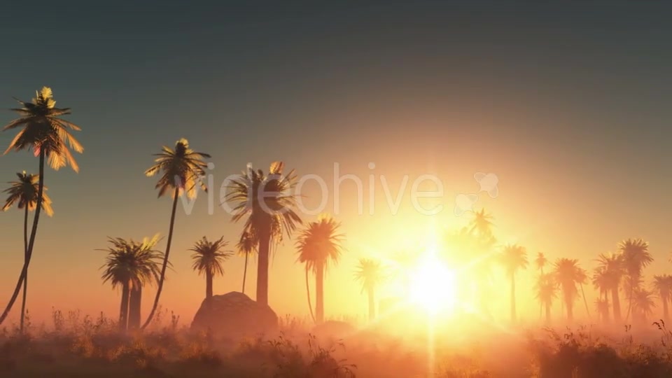 Palms in Desert at Sunset Videohive 19118278 Motion Graphics Image 2