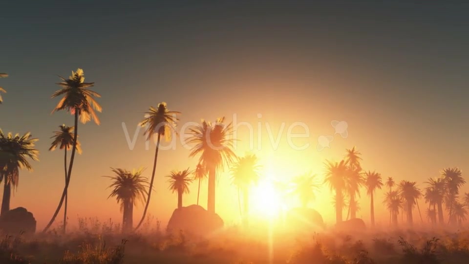 Palms in Desert at Sunset Videohive 19118278 Motion Graphics Image 3